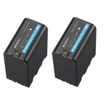 SONY 2BP-U60 Pack de 2 bateras Ion-Litio recargable para EX. 57 Wh.