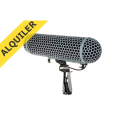 lloguer de cotxes RODE PORTP