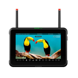 comprar ATOMOS SHINOBI 7 RX - LCD - ATOMOS