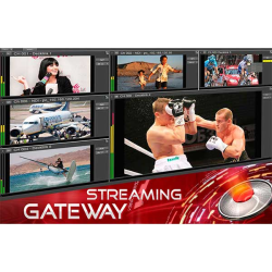 comprar MAGIC SOFT MAGICSOFT-GATEWAY - Recording - MAGIC SOFT